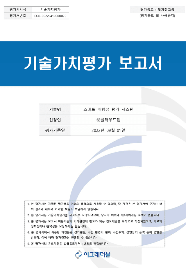 기술가치평가 보고서
